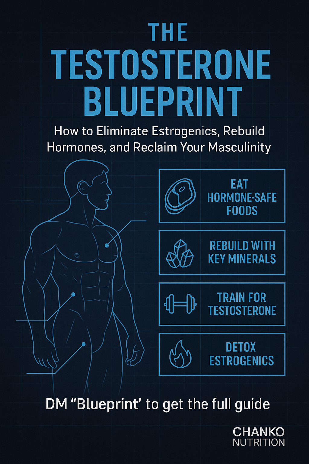 Testosterone Blueprint